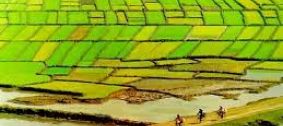 Chính sách đền bù khi thu hồi đất của một số nước trong khu vực và Việt Nam